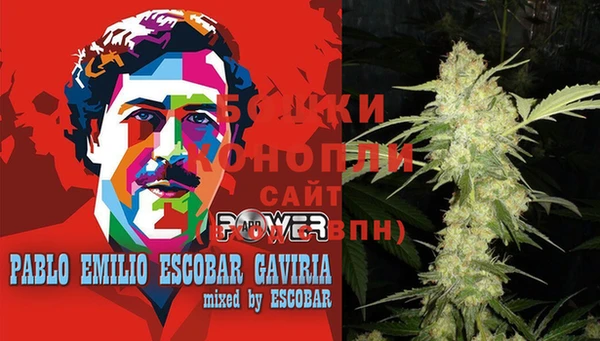 крисы Бугульма