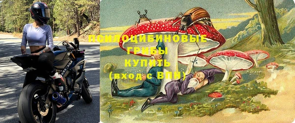 гидропоника Бородино