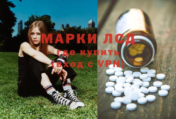 крисы Бугульма