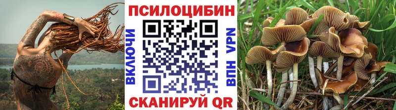 mega ТОР  Кировград  Галлюциногенные грибы MAGIC MUSHROOMS 